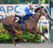 Coup Align<br>Photo by Singapore Turf Club